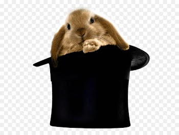 Top hat Rabbit hair Clothing - Rabbit in Hat PNG Clipart 