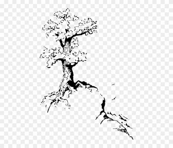 Top, Outline, Silhouette, Tree, Roots, White - Quotes About Trees Drawing