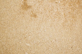 Top view corn flour texture Free Photo