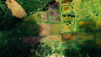 Top View of Farmland