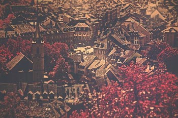 top view of houses at the city