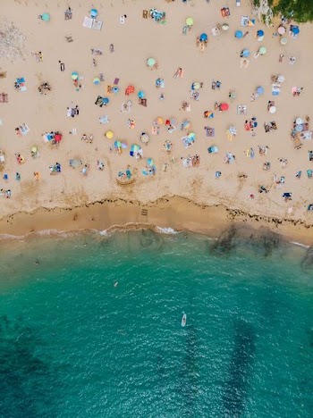 top view of people near beach shore
