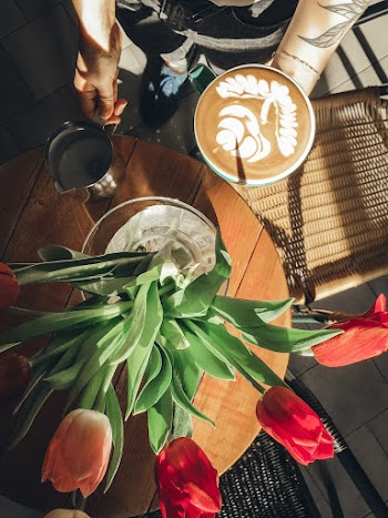 Top View of Person Holding Cup of Latte Near Table With Tulips