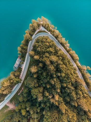 Top View of Road Surrounded by Trees