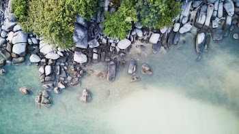 top view of rocky seashore during daytime