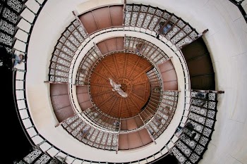top view of spiral stare