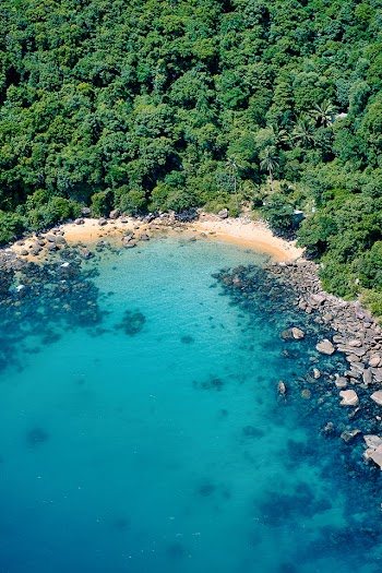 Top view of the sea with the forest