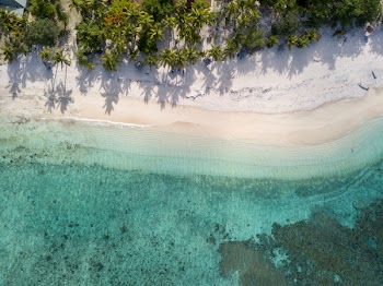 Top View Photo of Beach