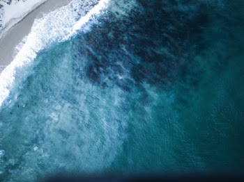 Top View Photo of Beach
