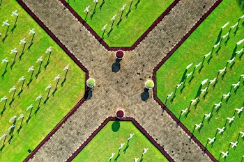 Top View Photo of Cemetery