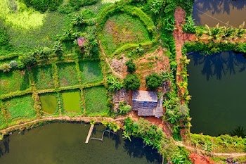 Top View Photo of Farmland