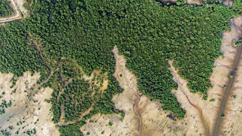 Top View Photo of Field