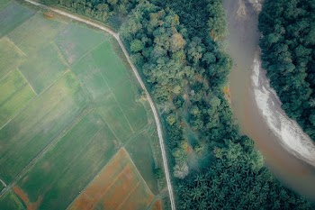 Top View Photo of Forest