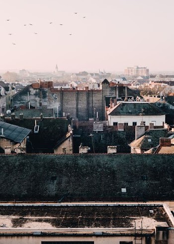 top view photo of houses during daytime