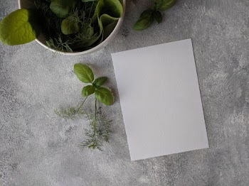 Top View Photo of Paper Near Basil Leaves