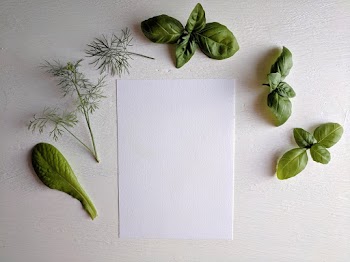Top View Photo of Paper Near Basil Leaves