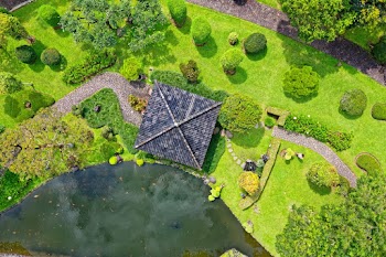 Top View Photo of Park