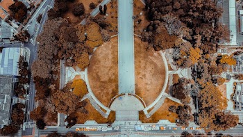 Top View Photo of Park