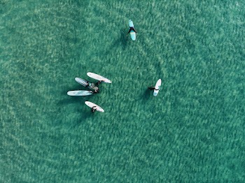 Top View Photo of People on Surfboards