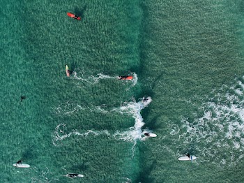 Top View Photo of People Surfboarding