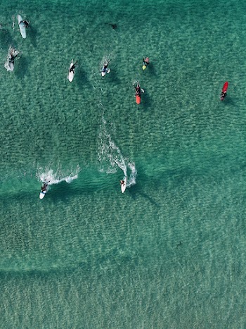 Top View Photo of People Surfboarding
