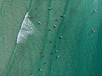 Top View Photo of People Surfboarding