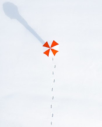 Top View Photo of Person Holding Umbrella