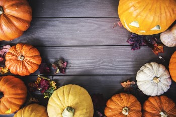 Top View Photo of Pumpkins