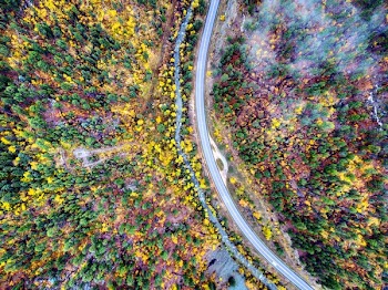 Top View Photo of Road Surrounded By Trees