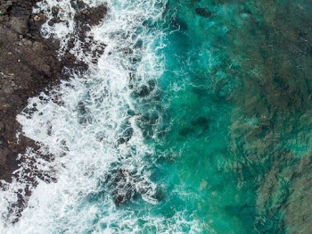 Top View Photo of Rocky Seashore