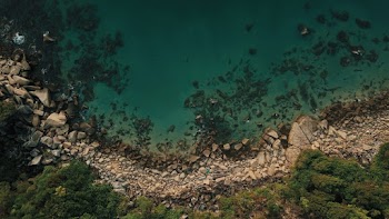 Top View Photo of Rocky Shore