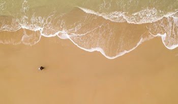 Top View Photo of Seashore
