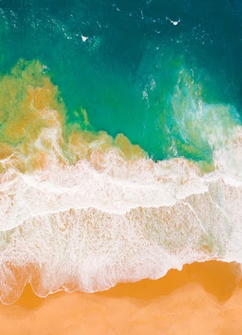 Top View Photo of Seashore