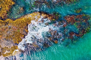 Top View Photo of Seawater on Rock Formation
