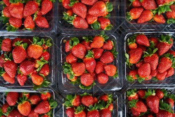 Top View Photo of Strawberries on Plastic Container