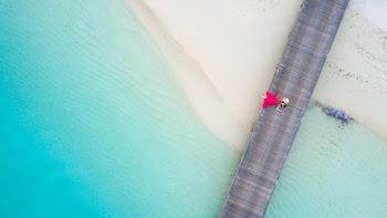 Top View Photo of Woman Lying on Boardwalk