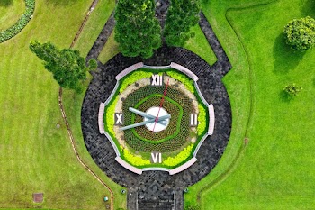 Top-view Photography of Analog Watch Garden