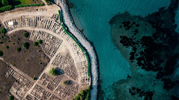 Top-view Photography of Buildings and Trees Beside Large Body of Water