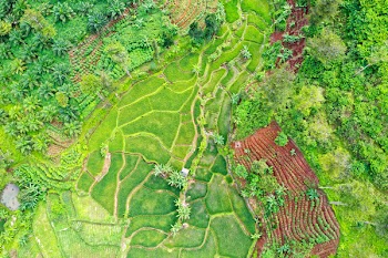 Top View Photography Of Fields