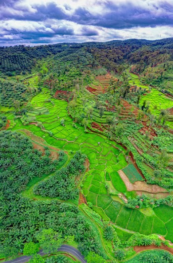 Top-view Photography of Landscape