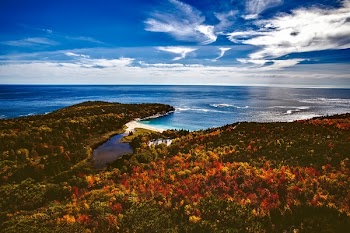 Top View Photography of Tree Covered Island Near Large Body of Water Under White and Blue Cloudy Skies