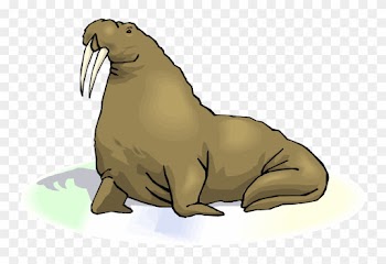 Top Walrus Clip Art Free Clipart Image - Walrus Transparent Background