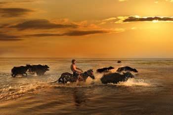 Topless Man Riding Brown Horse on Body of Water Under Orange Sky