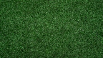 topview of grass lawn