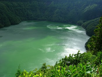 Topview of Lake Surrounded by Green Leafed Tress