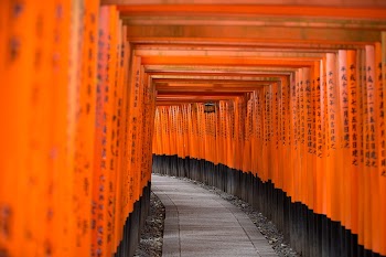 Torii gate, Japan. Original public | Free Photo - rawpixel