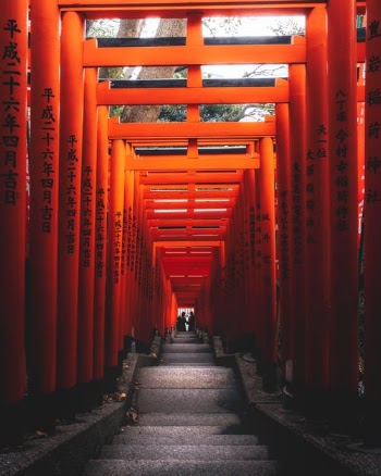 Torii Path · Free Stock Photo