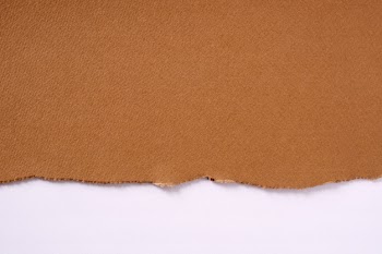 Torn brown paper border white background Free Photo