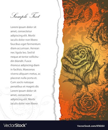 Torn cardboard with roses vector image