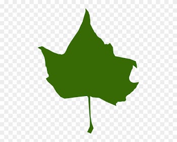 Torn Maple Leaf Dark Green Clip Art - Blade I Efterår Transparent